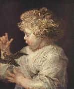 RUBENS, Pieter Pauwel Boy with Bird France oil painting reproduction